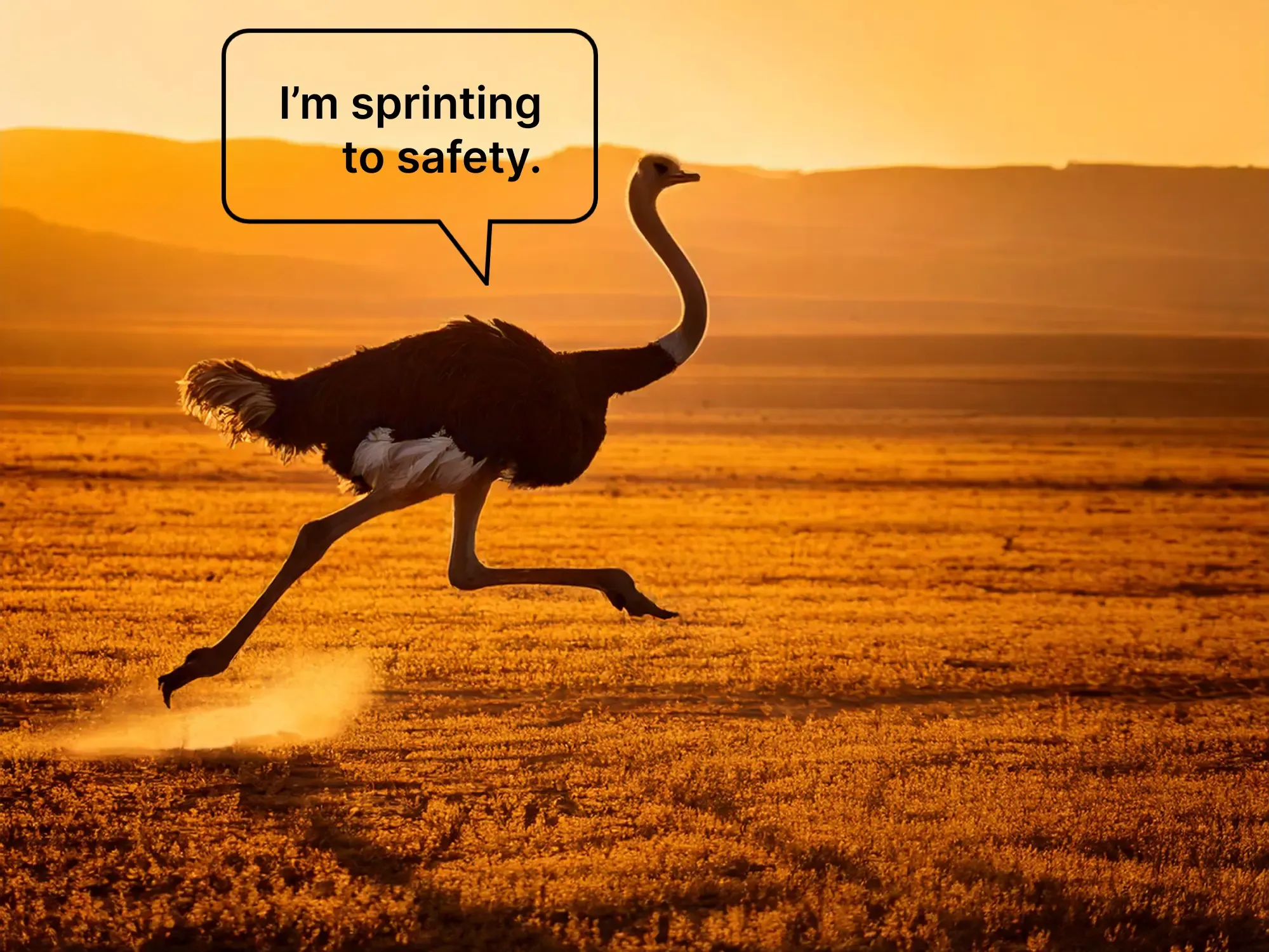 5 overcome the ostrich effect to quit smoking.webp