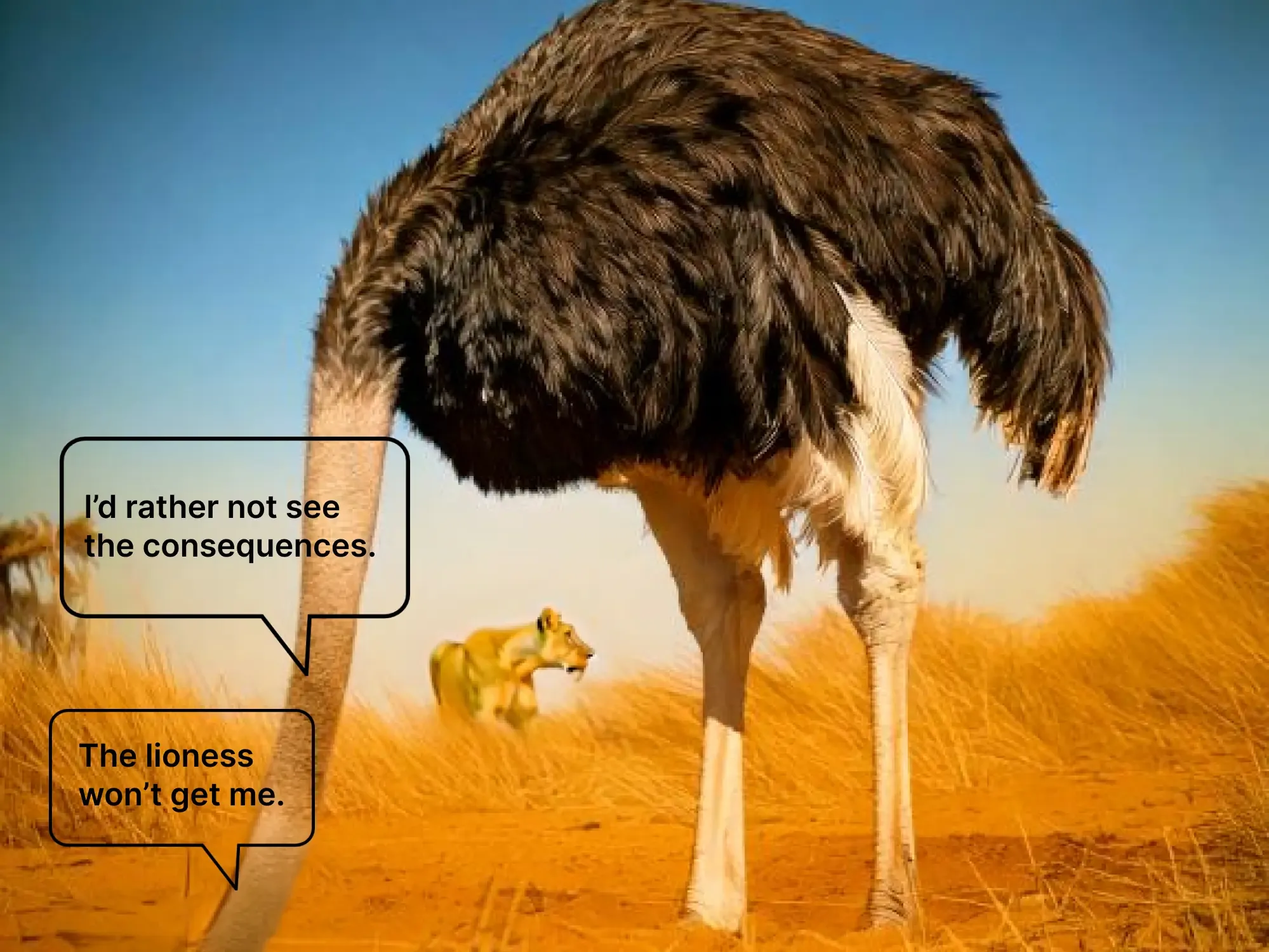 5 the ostrich effect and quitting smoking.webp