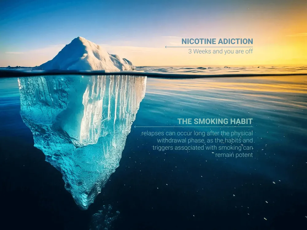 1 quit smoking habit.webp